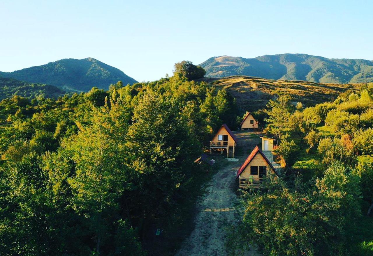 Cabanele Lu' Dinu Curtea de Argeş Exteriör bild
