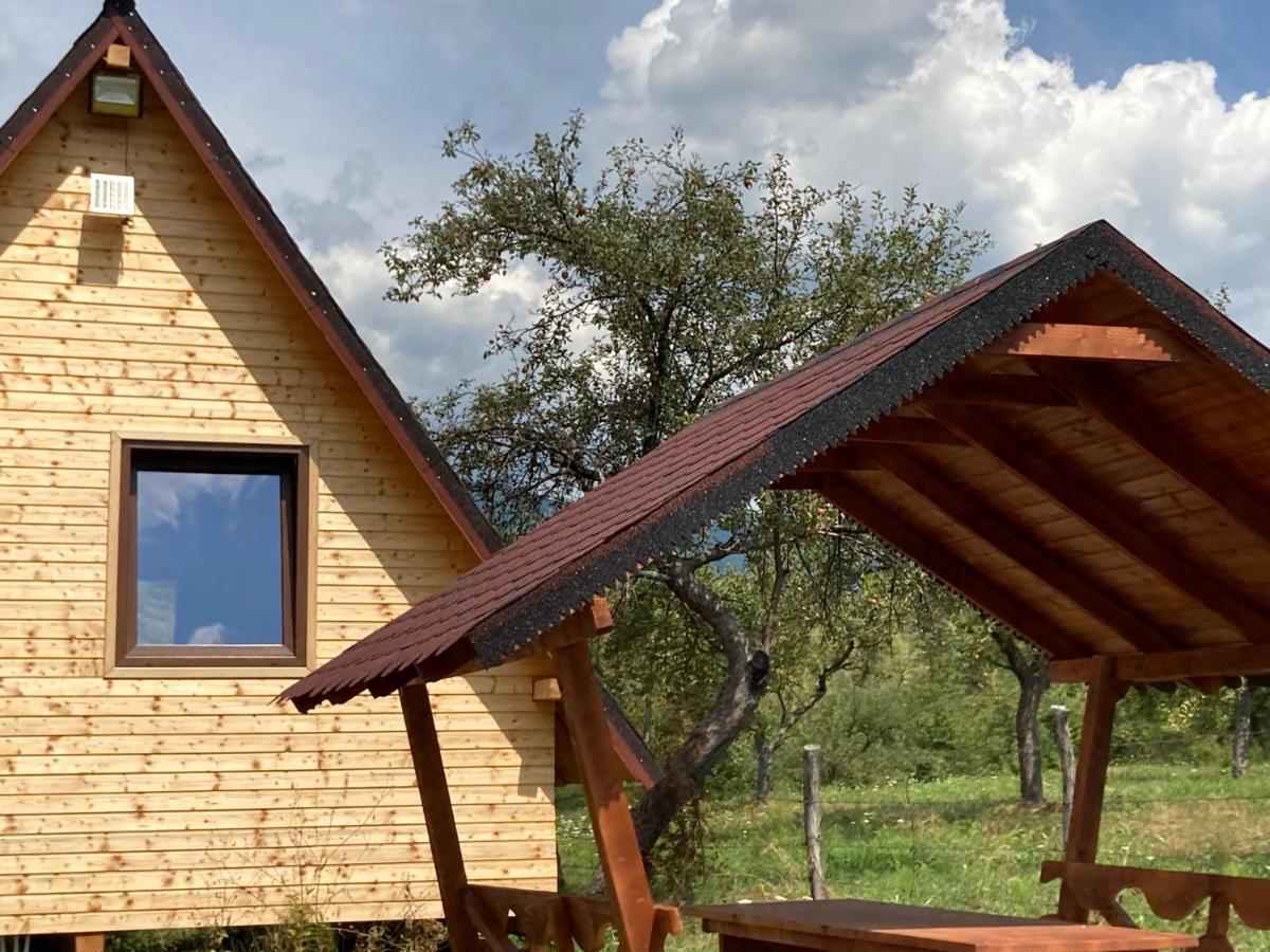 Cabanele Lu' Dinu Curtea de Argeş Exteriör bild