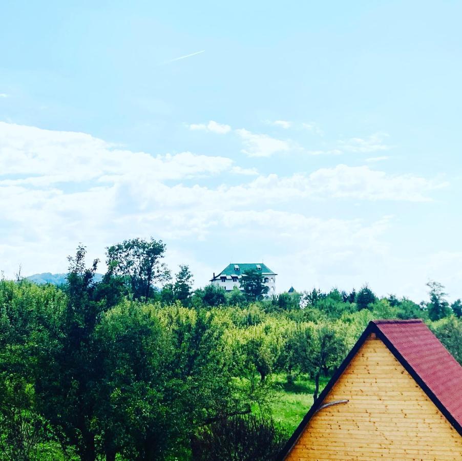 Cabanele Lu' Dinu Curtea de Argeş Exteriör bild