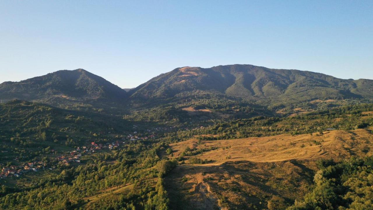 Cabanele Lu' Dinu Curtea de Argeş Exteriör bild