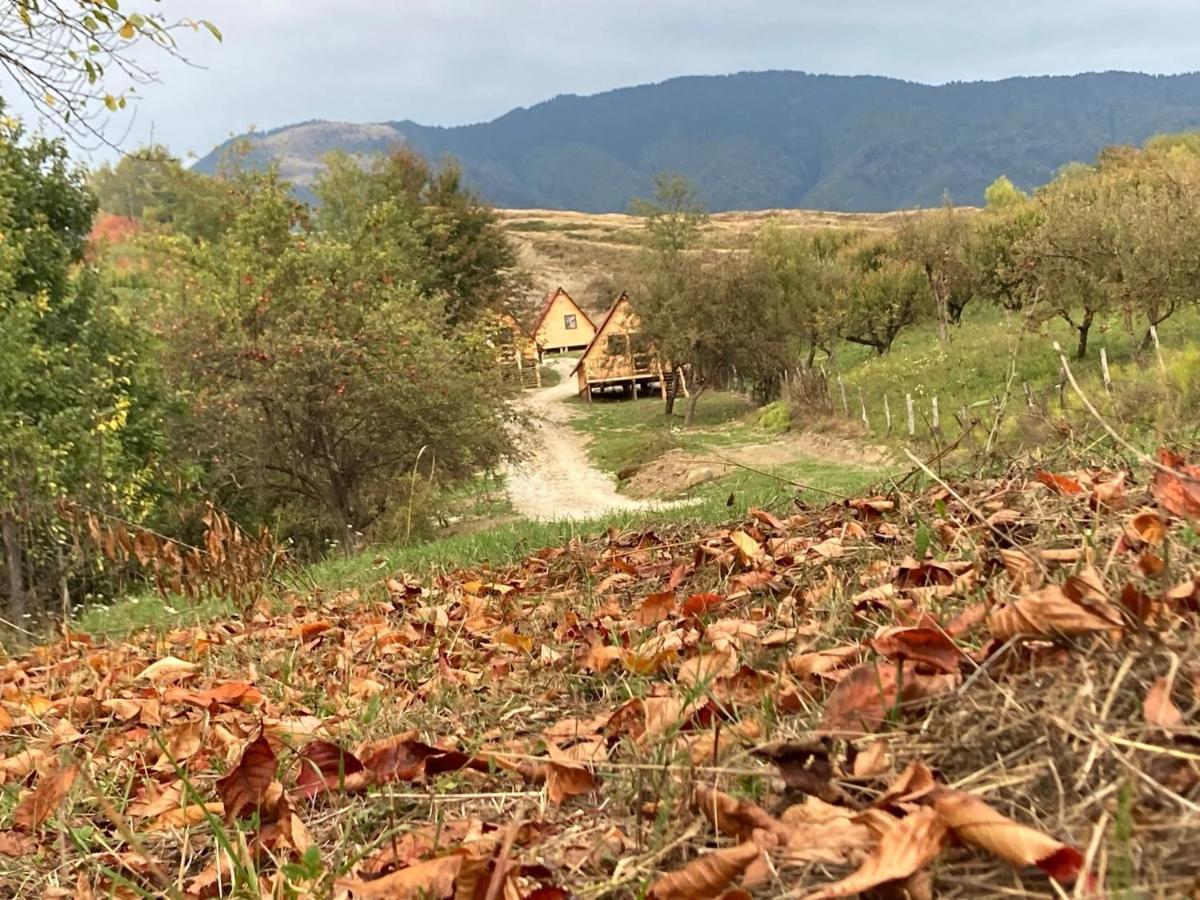 Cabanele Lu' Dinu Curtea de Argeş Exteriör bild