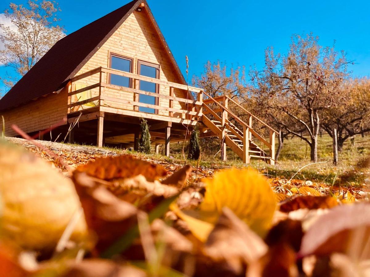 Cabanele Lu' Dinu Curtea de Argeş Exteriör bild
