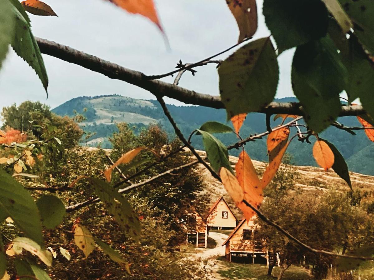 Cabanele Lu' Dinu Curtea de Argeş Exteriör bild